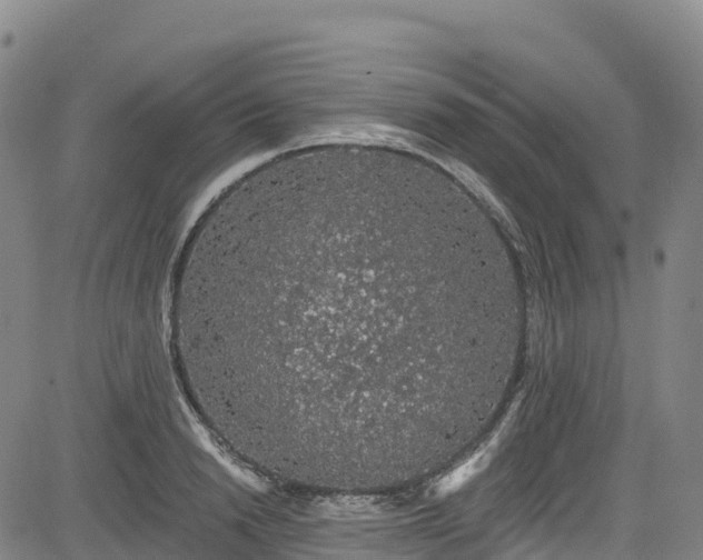 X0000085060846200703121523