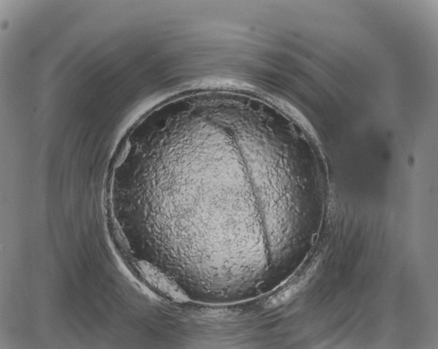 X0000085060847200703121523