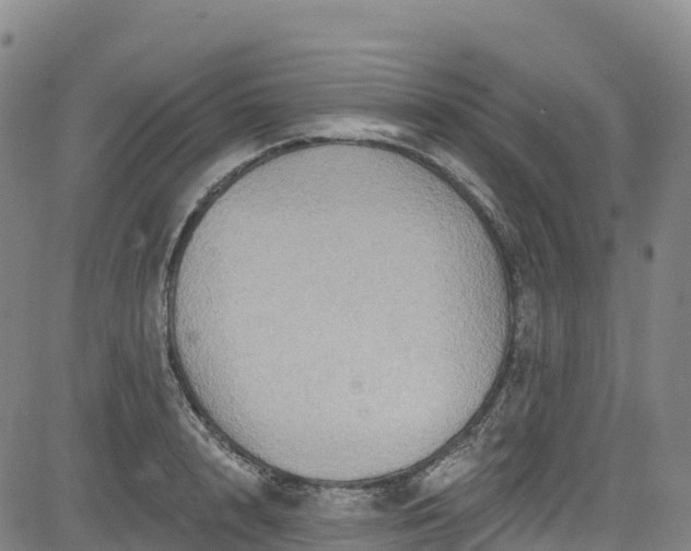 X0000085060848200703121523