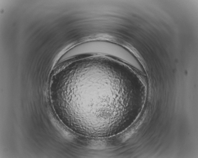 X0000085060850200703121523