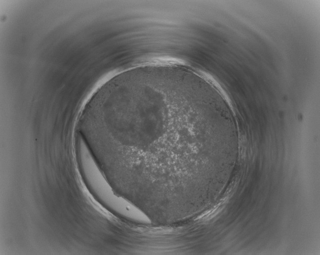 X0000085060851200703121523