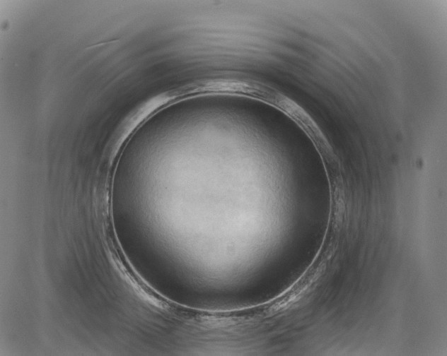 X0000085060852200703121523