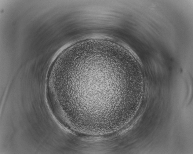 X0000085060853200703121523