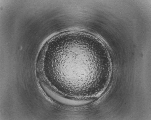 X0000085060854200703121523