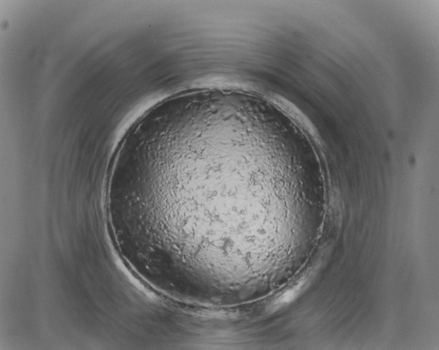 X0000085060855200703121523