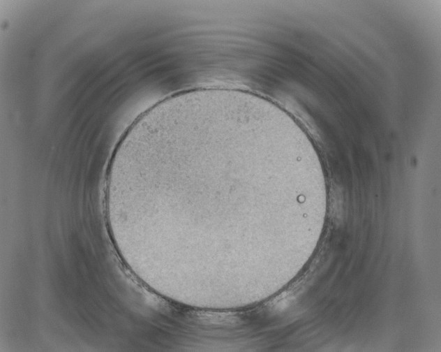 X0000085060856200703121523