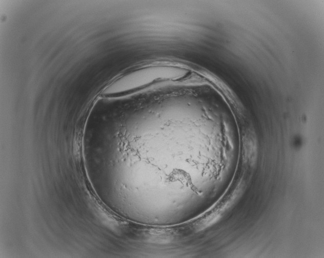 X0000085060857200703121523