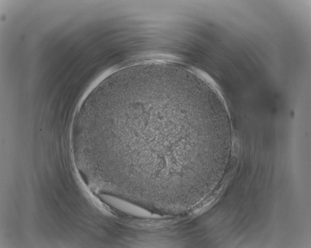 X0000085060859200703121523