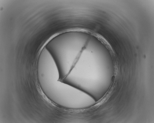 X0000085060860200703121523