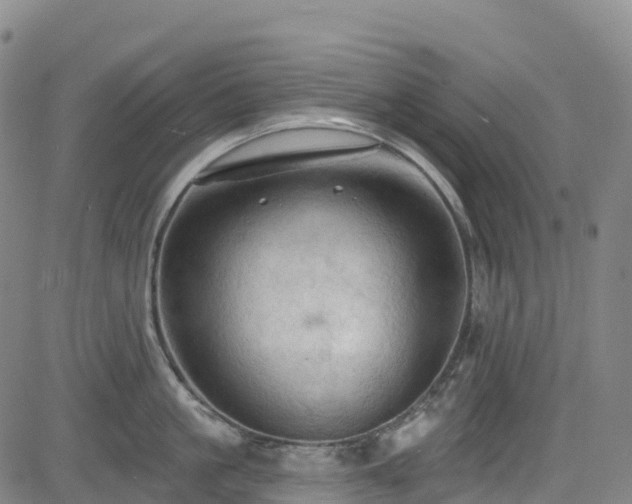 X0000085060861200703121523