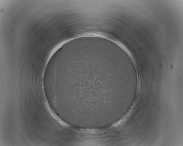 X0000085060862200703121523