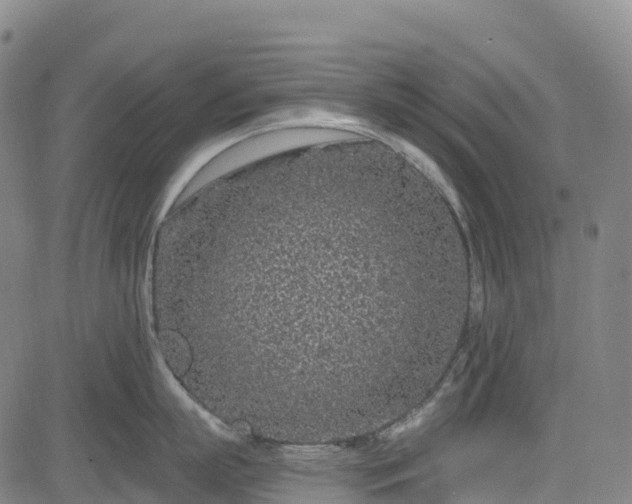 X0000085060863200703121523