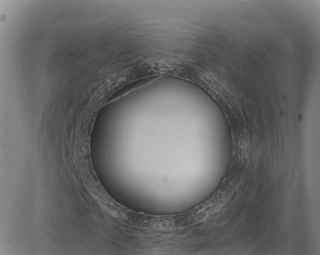 X0000085060865200703121522