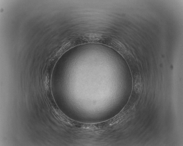 X0000085060866200703121522