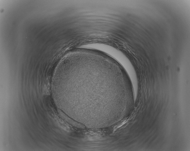 X0000085060868200703121522