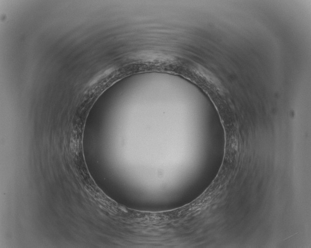 X0000085060869200703121522