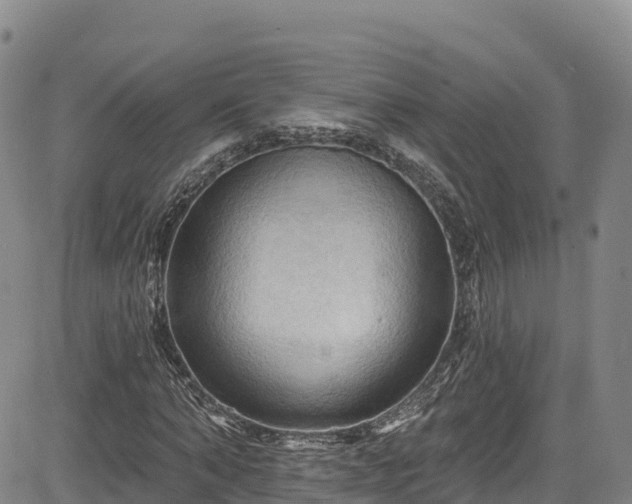 X0000085060870200703121522