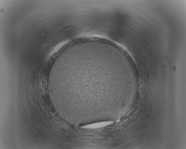 X0000085060871200703121522