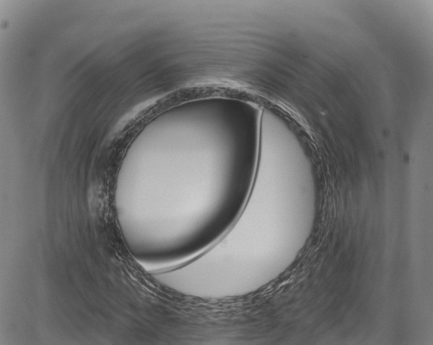 X0000085060872200703121522