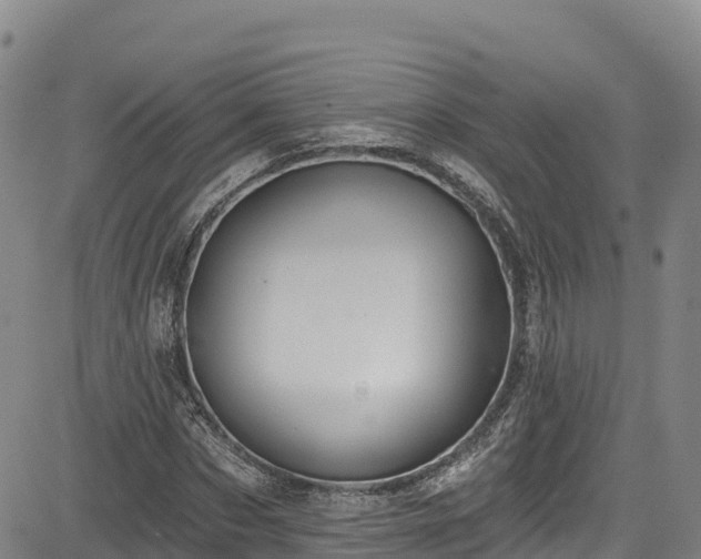 X0000085060873200703121522