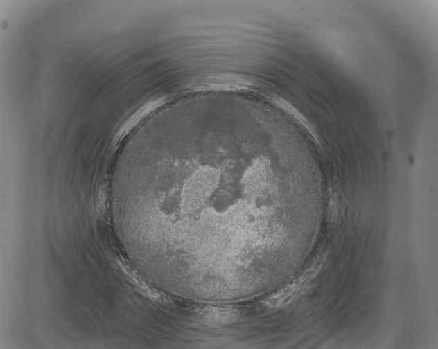 X0000085060874200703121522