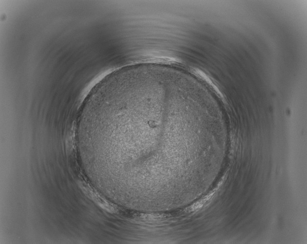 X0000085060875200703121522