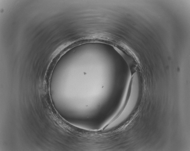 X0000085060876200703121522