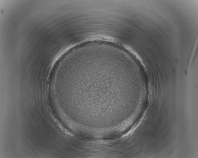 X0000085060877200703121522