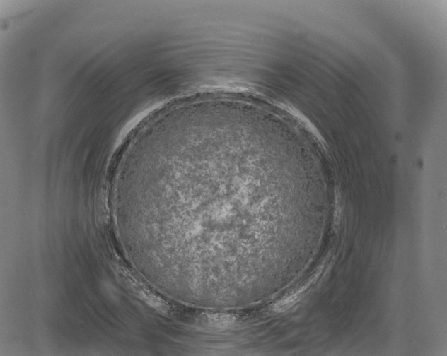 X0000085060878200703121522