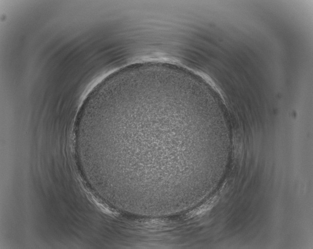 X0000085060879200703121522