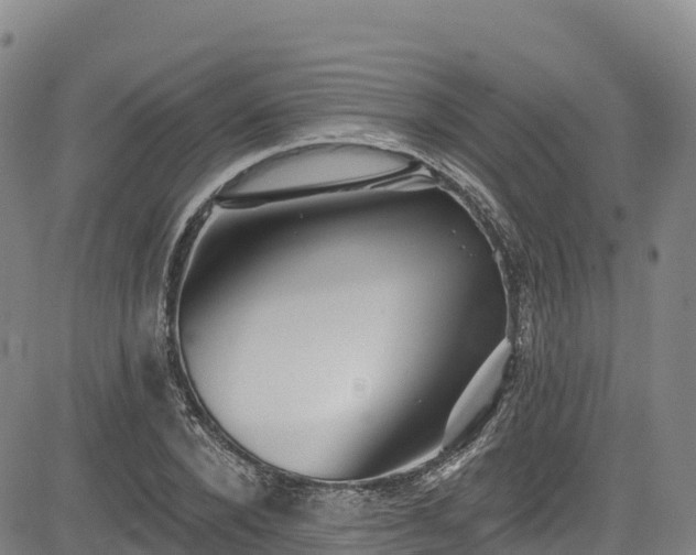 X0000085060880200703121522