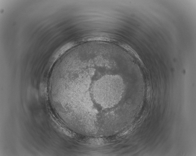 X0000085060882200703121522