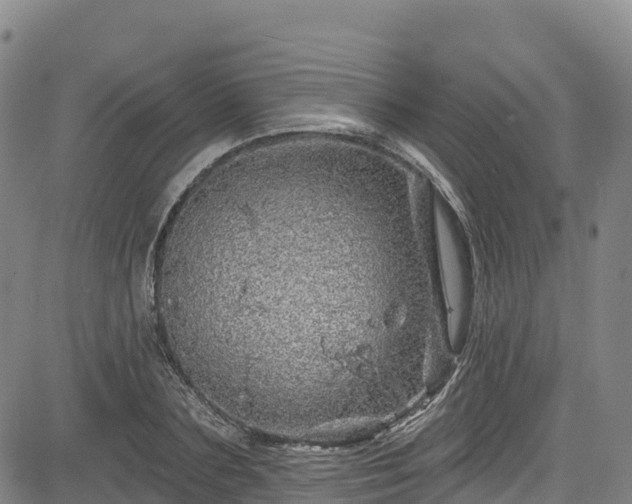 X0000085060883200703121522