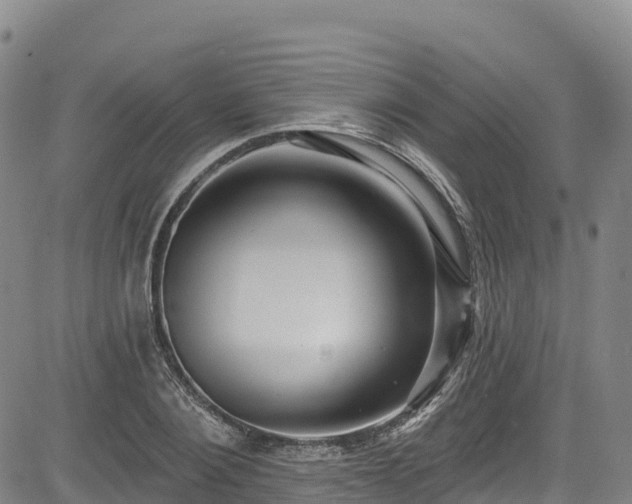 X0000085060884200703121522