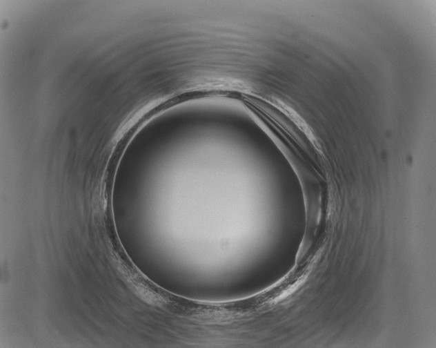 X0000085060885200703121522