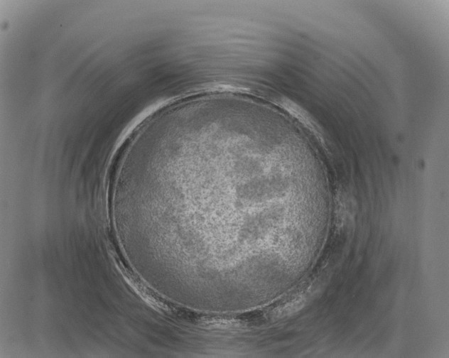 X0000085060886200703121522