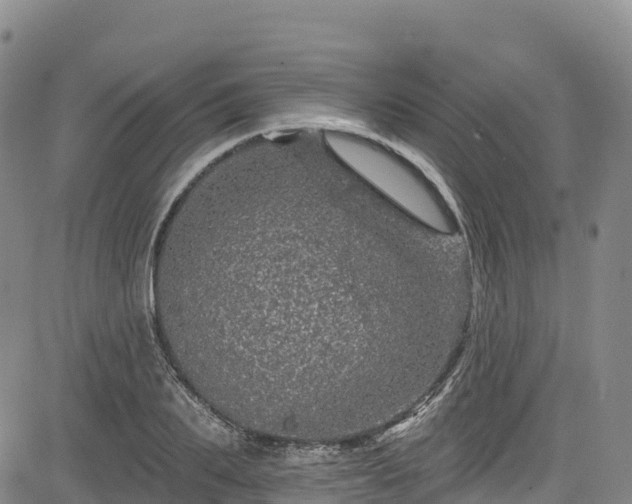 X0000085060887200703121522