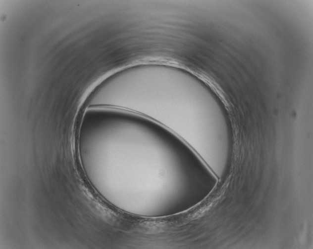 X0000085060888200703121522