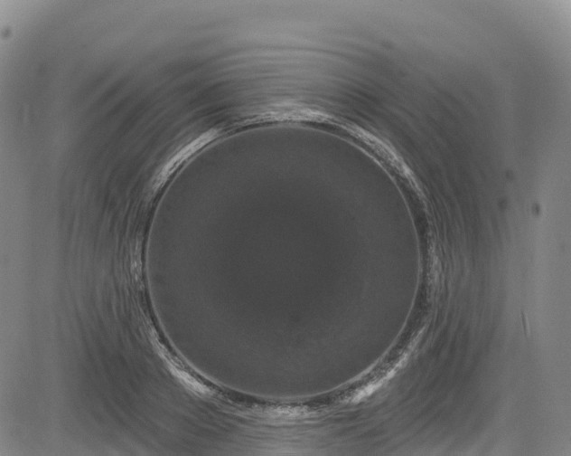 X0000085060889200703121522