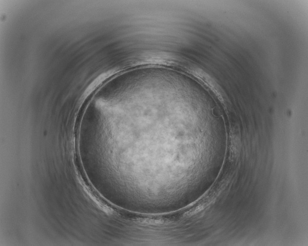 X0000085060890200703121522