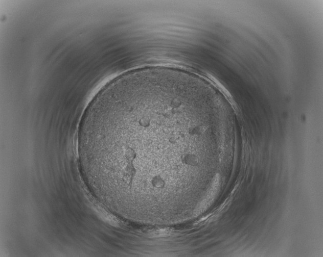 X0000085060891200703121522