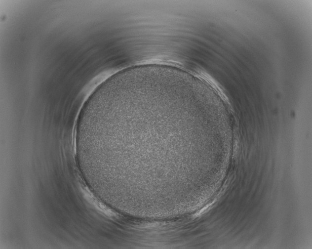 X0000085060892200703121522