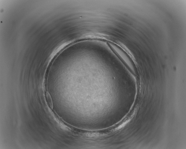 X0000085060893200703121522