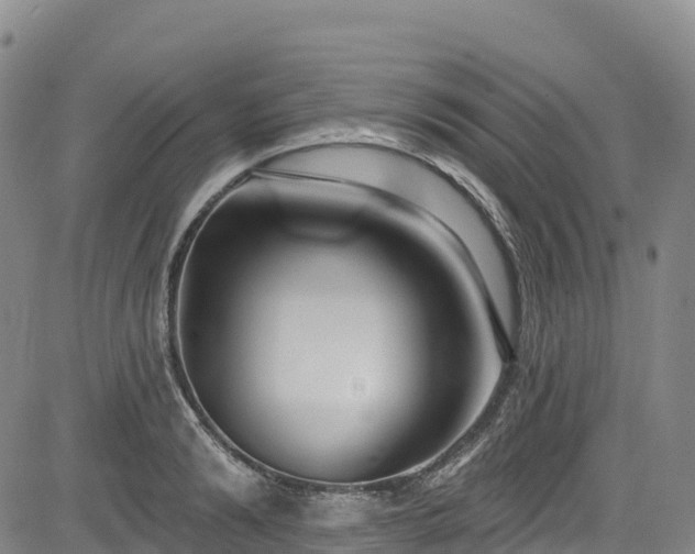 X0000085060894200703121522