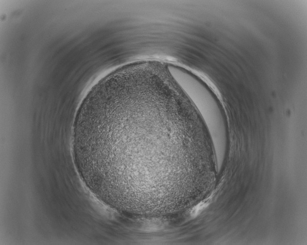 X0000085060895200703121522