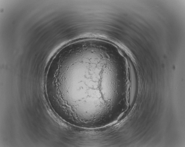 X0000085060896200703121522