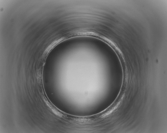 X0000085060897200703121522