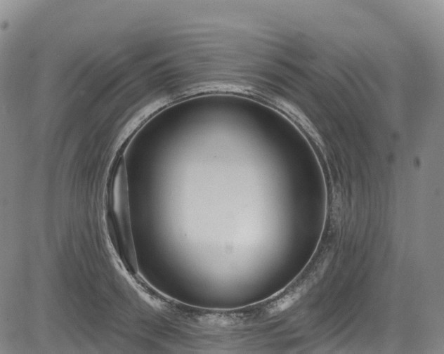 X0000085060898200703121522