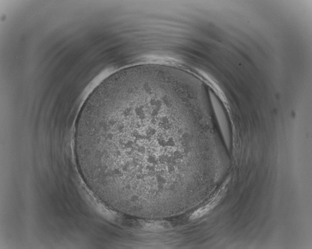 X0000085060899200703121522