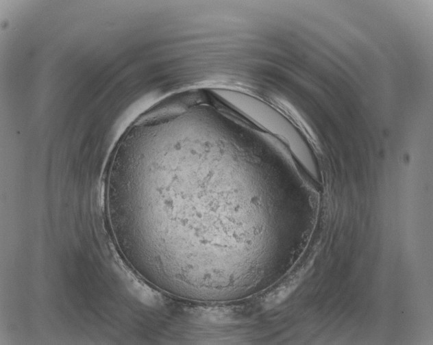 X0000085060900200703121522